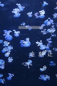 逾期还有哪些借贷可以用 逾期还有哪些借贷可以用