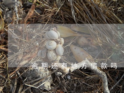 逾期还有地方借款吗 逾期还有地方借款吗