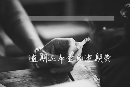 逾期还本金的逾期费 逾期还本金的逾期费