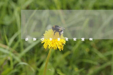 逾期还本金真实案例