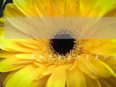 逾期还本金究竟是什么意思 逾期还本金究竟是什么意思