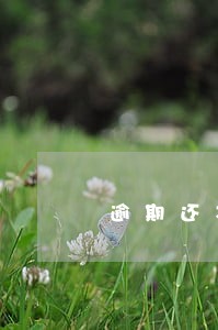 逾期还本金被骗 逾期还本金被骗