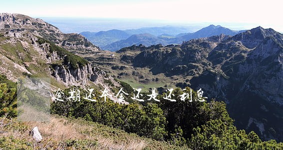 逾期还本金还是还利息 逾期还本金还是还利息