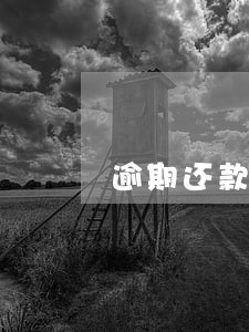 逾期还款10天有多大影响 逾期还款10天有多大影响