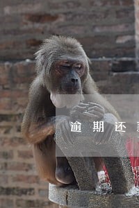 逾期还款10天滞纳金可以退回吗 逾期还款10天滞纳金可以退回吗