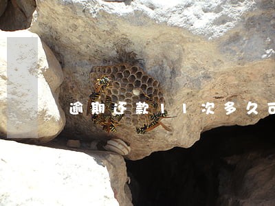逾期还款11次多久可以消除 逾期还款11次多久可以消除
