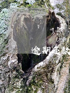 逾期还款15000的图片