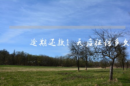 逾期还款1天后征信多久恢复
