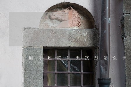 逾期还款1天次数怎么计算 逾期还款1天次数怎么计算