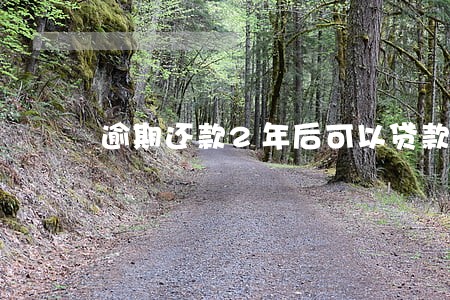 逾期还款2年后可以贷款吗 逾期还款2年后可以贷款吗