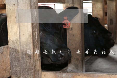 逾期还款30次算失信人员吗 逾期还款30次算失信人员吗