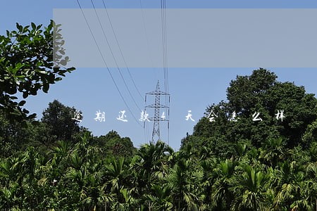 逾期还款4天会怎么样 逾期还款4天会怎么样