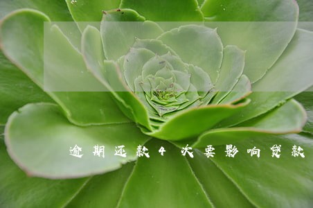 逾期还款4次要影响贷款吗 逾期还款4次要影响贷款吗