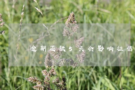 逾期还款5天会影响征信吗 逾期还款5天会影响征信吗
