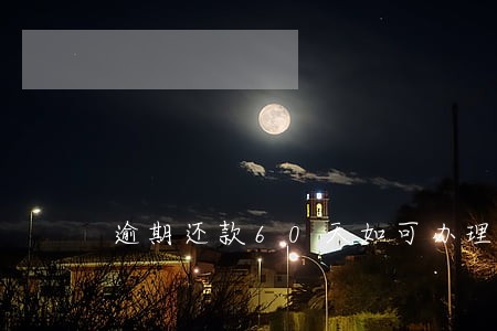 逾期还款60天如可办理 逾期还款60天如可办理