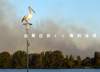 逾期还款60期的法律文件 逾期还款60期的法律文件