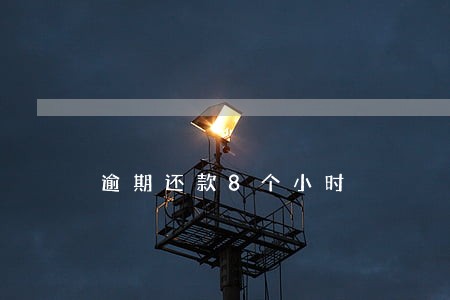 逾期还款8个小时 逾期还款8个小时