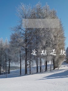 逾期还款8次能贷款吗