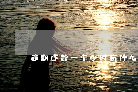 逾期还款一个小时有什么影响吗
