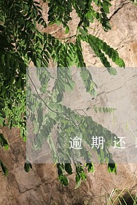 逾期还款一个月后还有记录吗