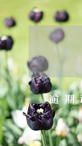 逾期还款一个月征信 逾期还款一个月征信