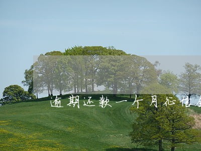 逾期还款一个月征信会有污点吗 逾期还款一个月征信会有污点吗