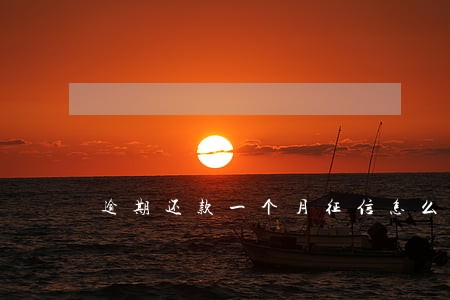 逾期还款一个月征信怎么弄 逾期还款一个月征信怎么弄