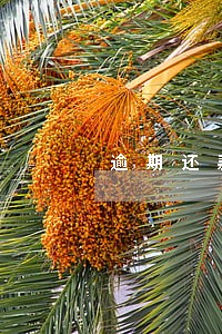逾期还款一个月怎么办 逾期还款一个月怎么办