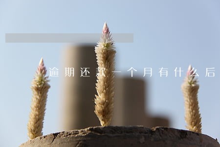 逾期还款一个月有什么后果 逾期还款一个月有什么后果