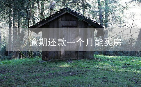 逾期还款一个月能买房 逾期还款一个月能买房