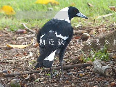 逾期还款一周会怎么样 逾期还款一周会怎么样