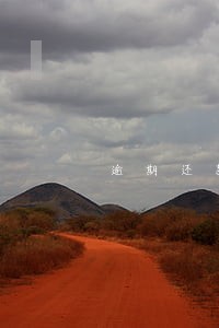 逾期还款一天会上报征信吗 逾期还款一天会上报征信吗