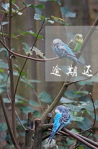 逾期还款一天后果 逾期还款一天后果