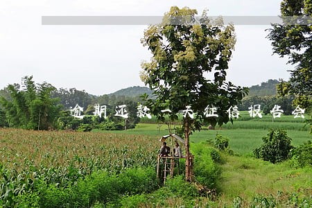 逾期还款一天征信报告会提现吗 逾期还款一天征信报告会提现吗
