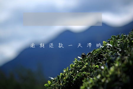 逾期还款一天滞纳金 逾期还款一天滞纳金