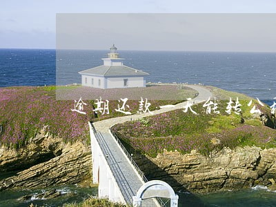 逾期还款一天能转公积金吗