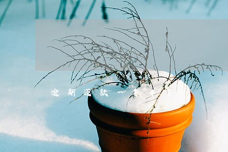 逾期还款一年半了 逾期还款一年半了