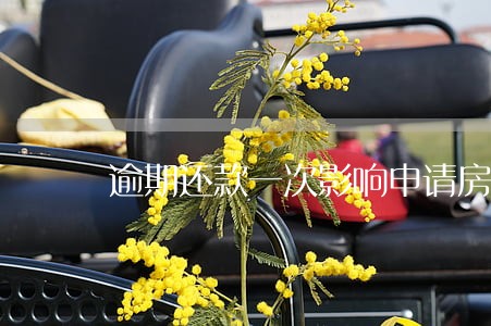 逾期还款一次影响申请房贷 逾期还款一次影响申请房贷