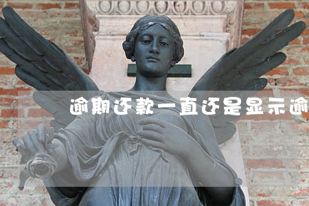 逾期还款一直还是显示逾期 逾期还款一直还是显示逾期