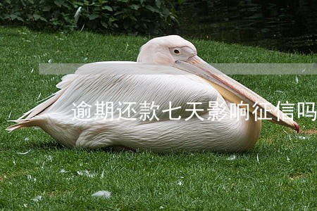 逾期还款七天影响征信吗 逾期还款七天影响征信吗