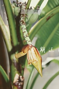 逾期还款三个月影响征信吗 逾期还款三个月影响征信吗