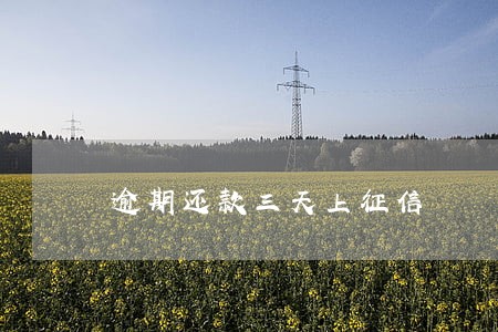 逾期还款三天上征信