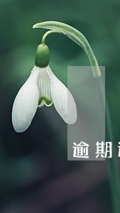 逾期还款三天恢复使用