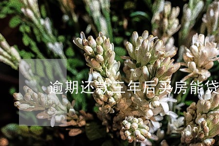 逾期还款三年后买房能贷款么