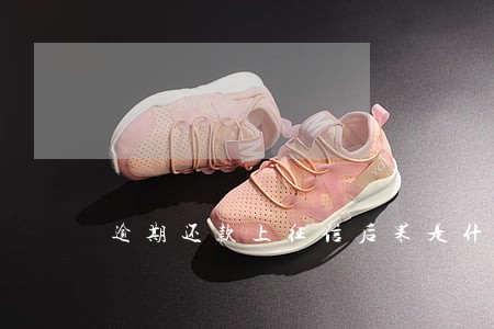 逾期还款上征信后果是什么 逾期还款上征信后果是什么