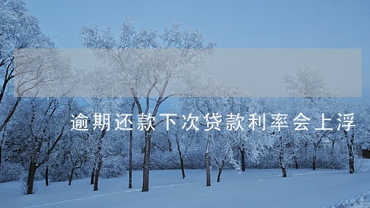 逾期还款下次贷款利率会上浮 逾期还款下次贷款利率会上浮