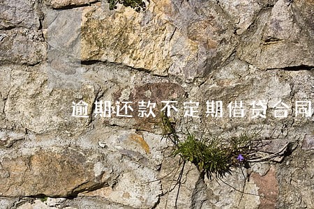 逾期还款不定期借贷合同 逾期还款不定期借贷合同