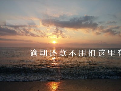 逾期还款不用怕这里有解决 逾期还款不用怕这里有解决