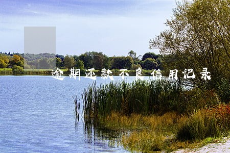 逾期还款不良信用记录 逾期还款不良信用记录