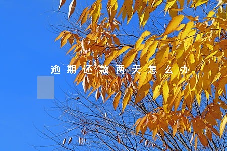 逾期还款两天怎么办